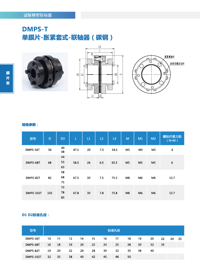 dmps-t1-01.jpg