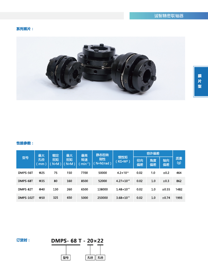 dmps-t2-01.jpg