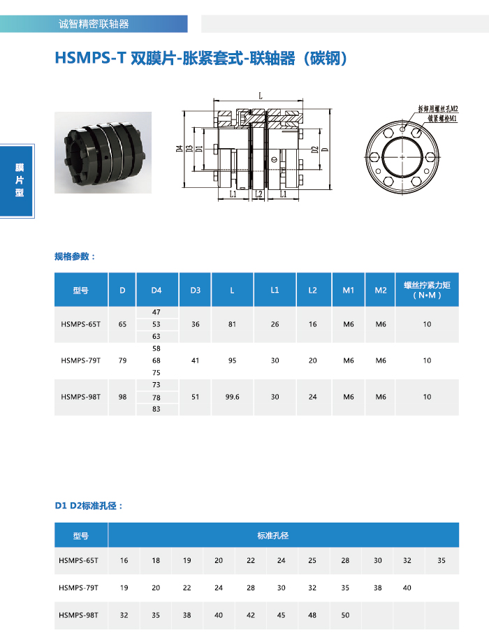 HSMPS-T1_ 1.jpg